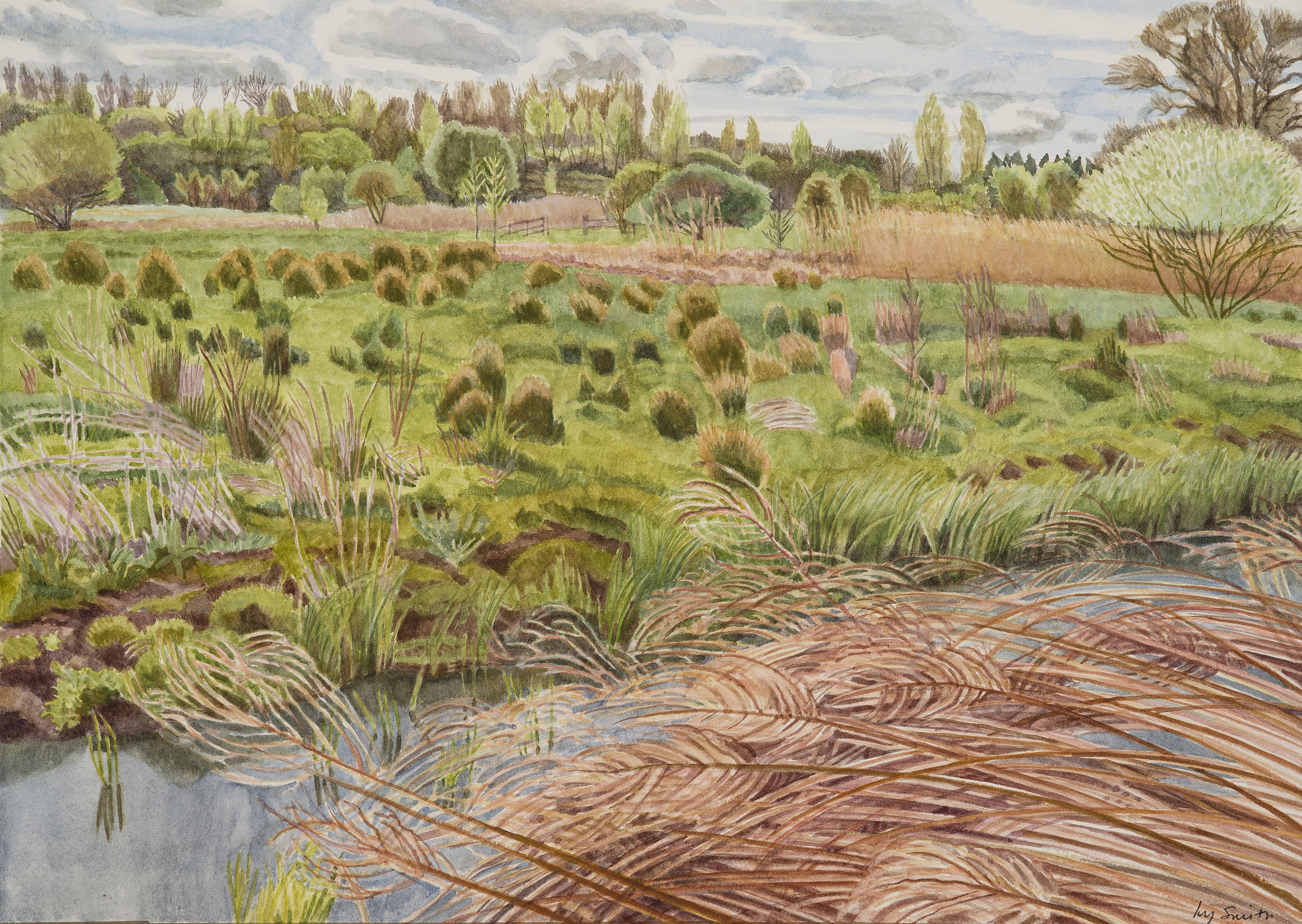 Whitlingham Marsh - Spring<br/>36 x 51 cm